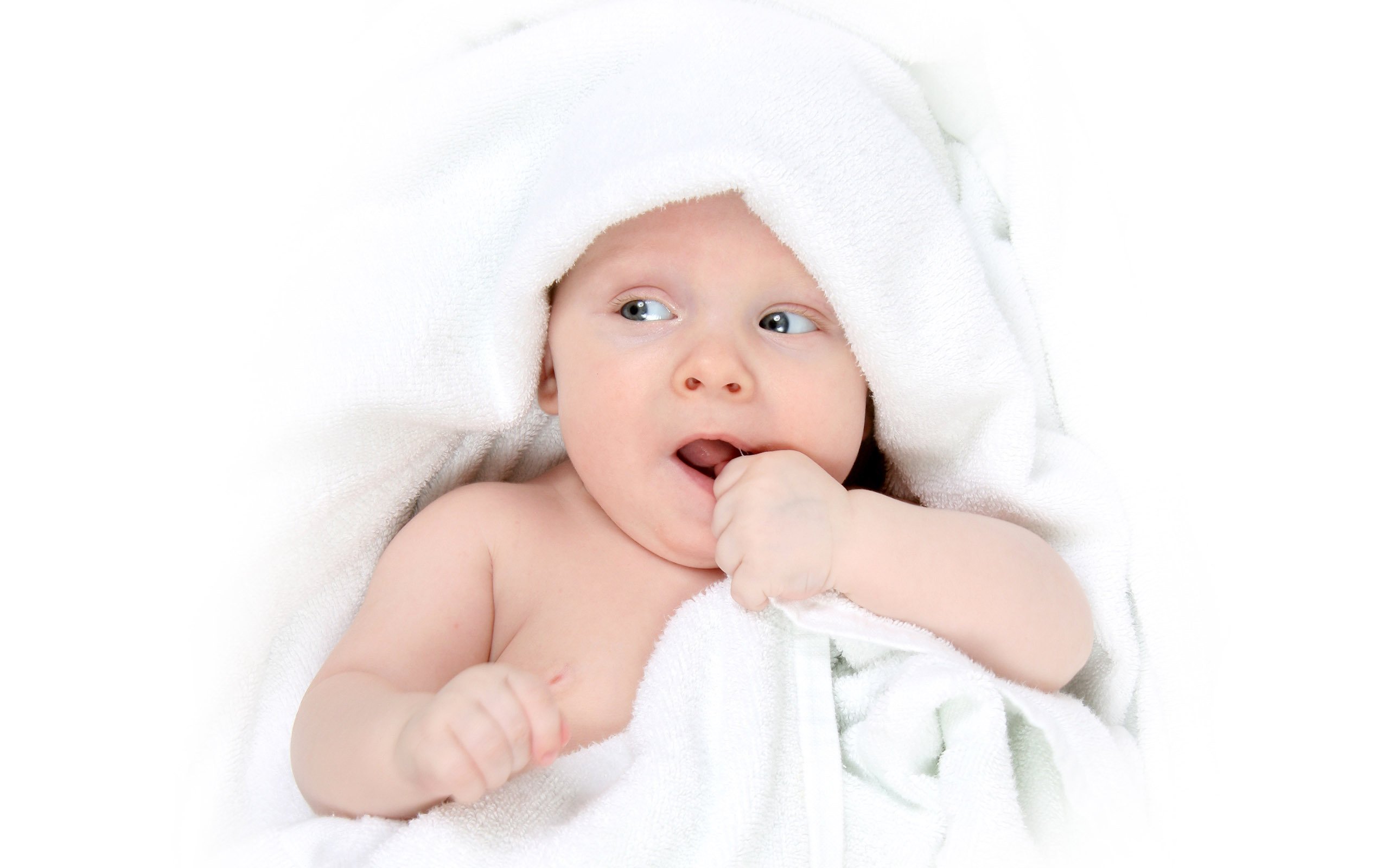 洛阳供卵医院早期胚胎培养成功率